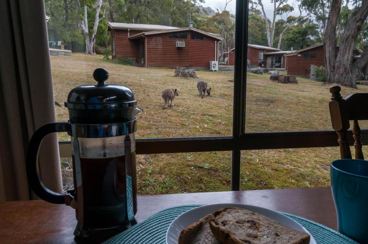 Wonderland Halls Gap