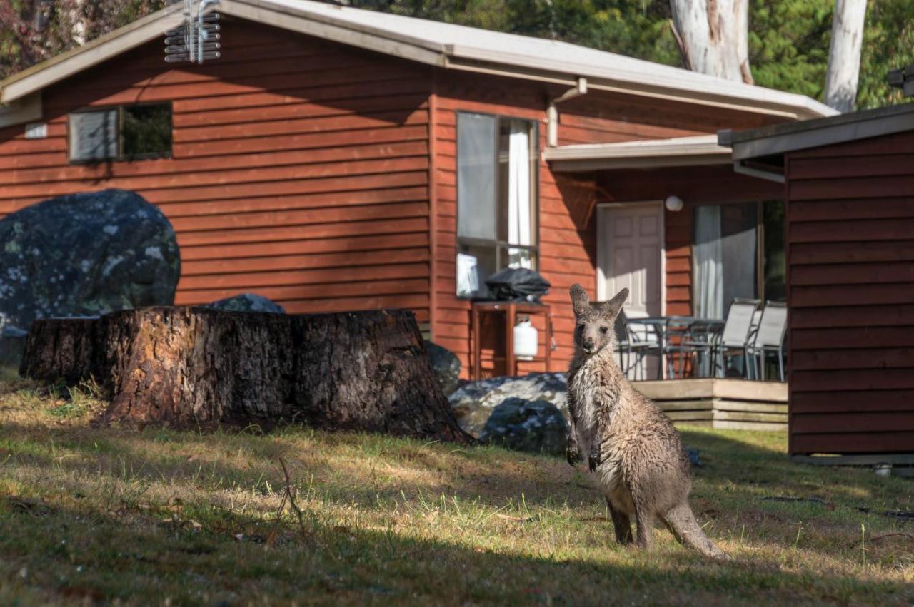 Holiday home Wonderland Halls Gap